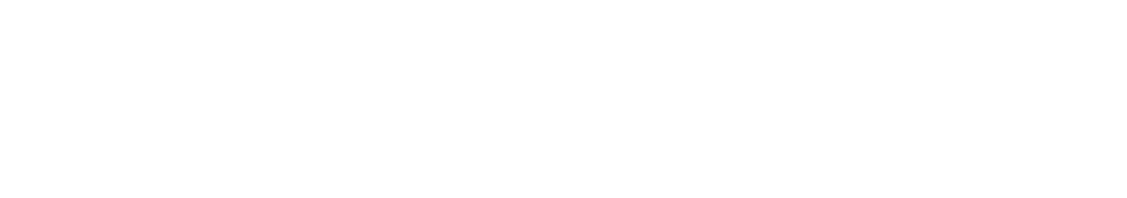 Playinstore Logo White